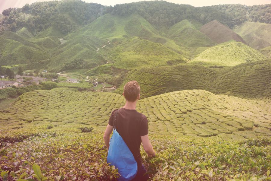 Places to visit in Cameron Highlands